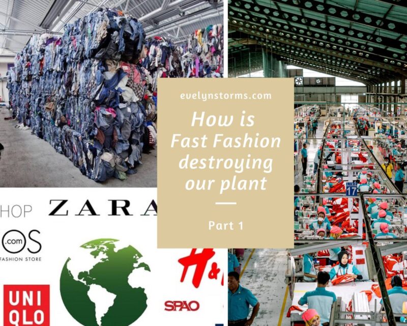 How is Fast Fashion destroying our planet? Pt 1.