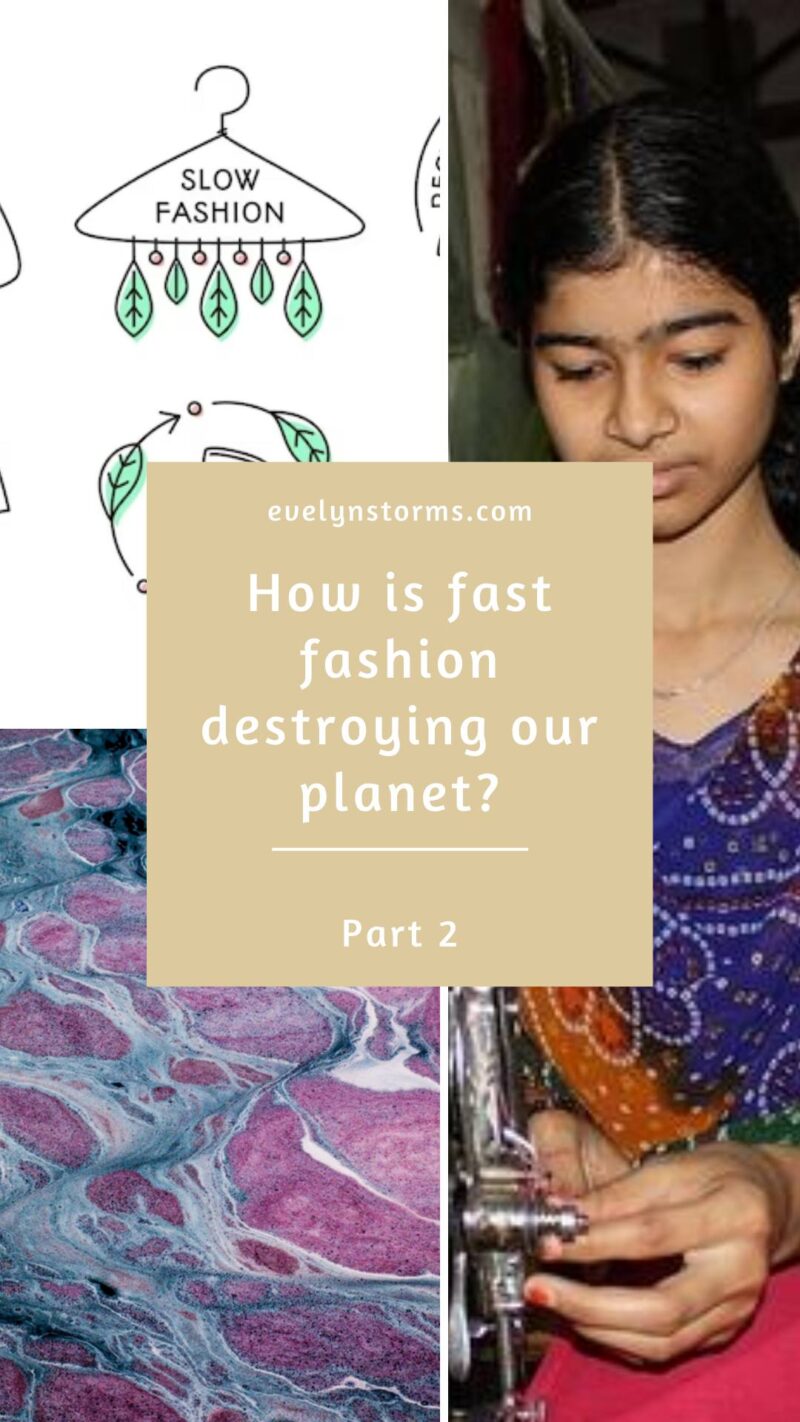 How is Fast Fashion destroying the planet? Pt 2.